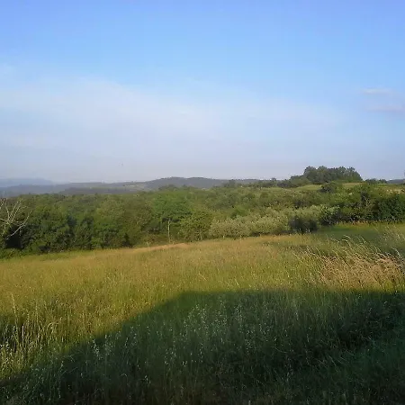 Jasmine Istra * Puce