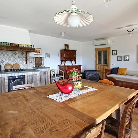 Jasmine Istra فيلة Puce