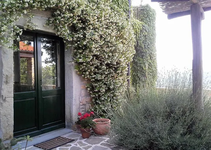 Jasmine Istra Villa Puce