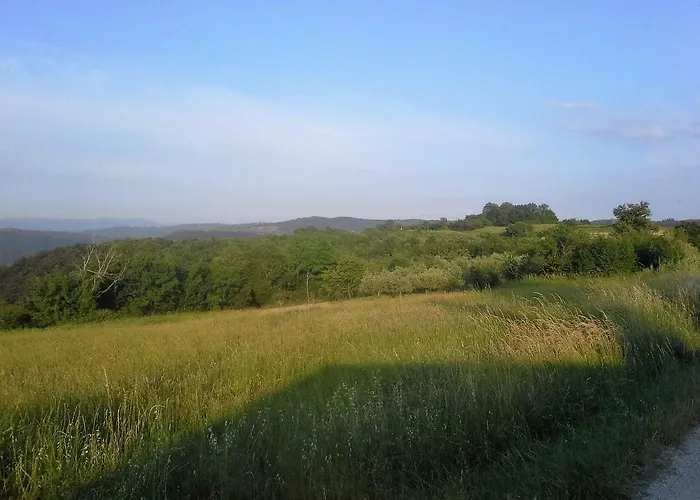 Jasmine Istra * Puce