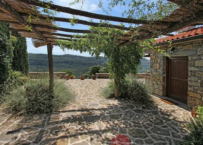 Jasmine Istra * Puce